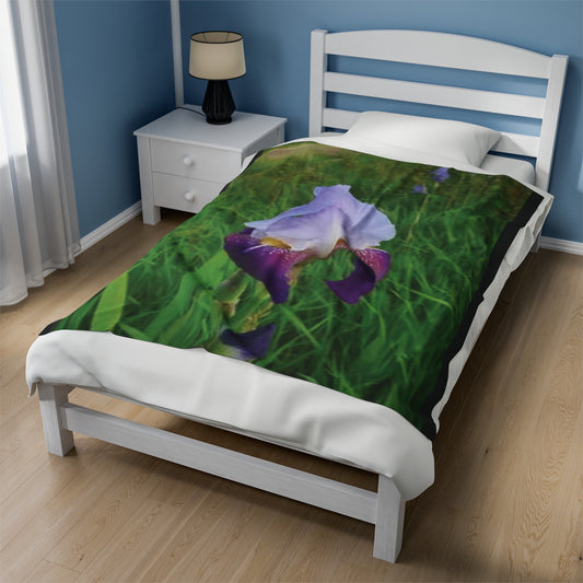 Irises in Bloom Velveteen Plush Blanket - Cozy Floral Throw for Home Decor