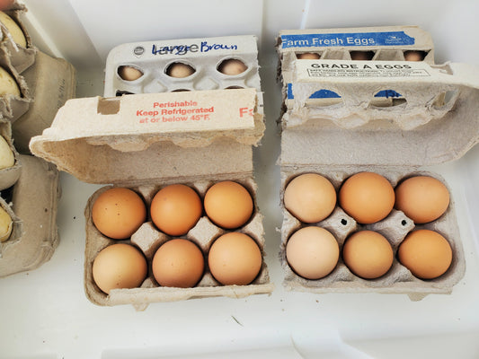 Chicken eggs