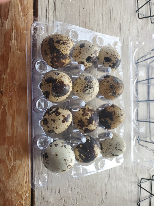 Quail Eggs