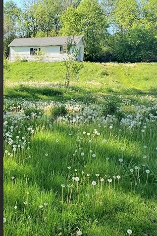 Field of dandelions notebook